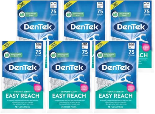 DenTek Complete Clean Easy Reach Floss Picks 75ct 6 Pack