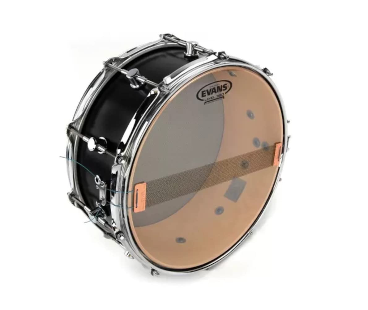 Evans Clear 300 Snare Side Drumhead, 14 Inch