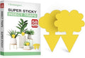 Cleanuper 58 Pack Gnat Killer Sticky Traps for Plants - Yellow Fungus Gnat Sticky Trap for Indoor Houseplants, Fruit Flies, Whiteflies, Aphids - Family Friendly Design, Flower and Cloud Shapes