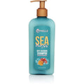 Mielle Organics Sea Moss Anti-Shedding Hair Shampoo - Hydrating Shampoo for Dry Hair - Fortifies Strands for Reduced Shedding - Improves Look and Feel with One Use (8 Oz)
