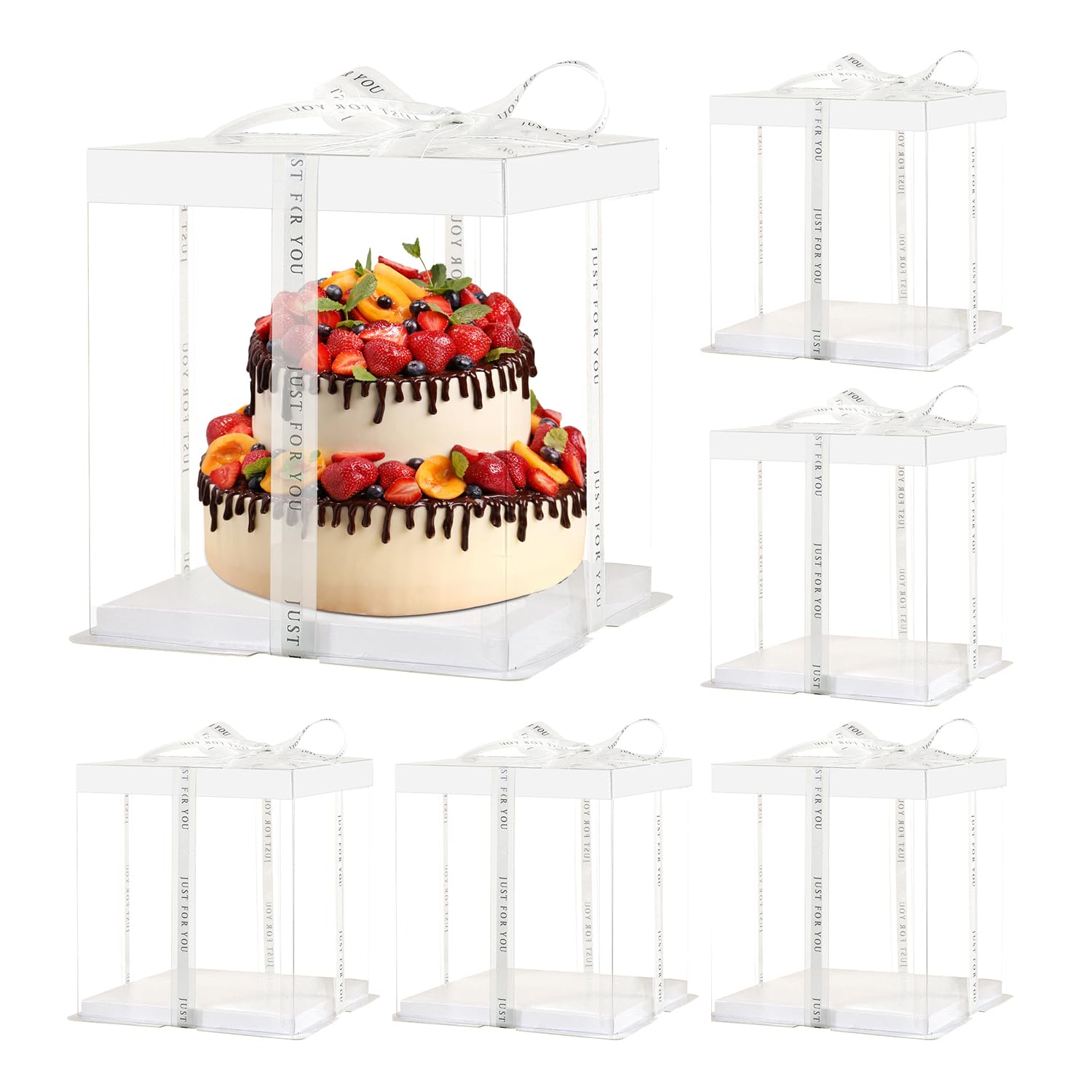 JCD 2-Layer Tall Clear Cake Boxes Ribbon 6 Pack