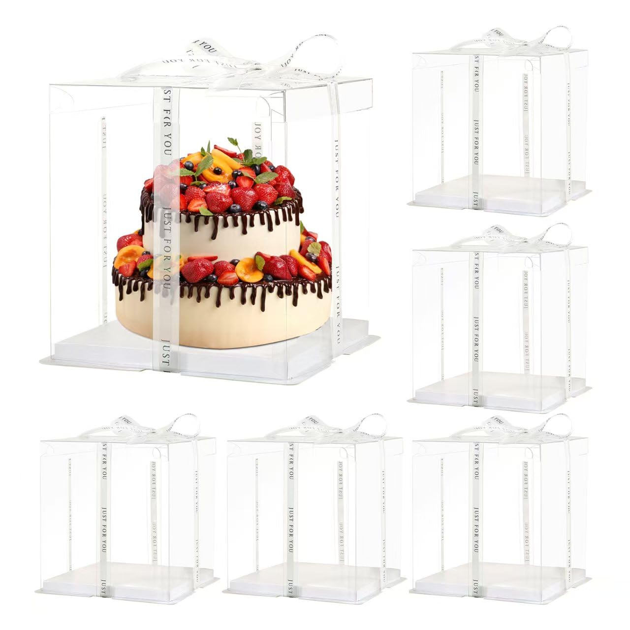 JCD Large Transparent Cake Boxes Ribbon 6 Pack