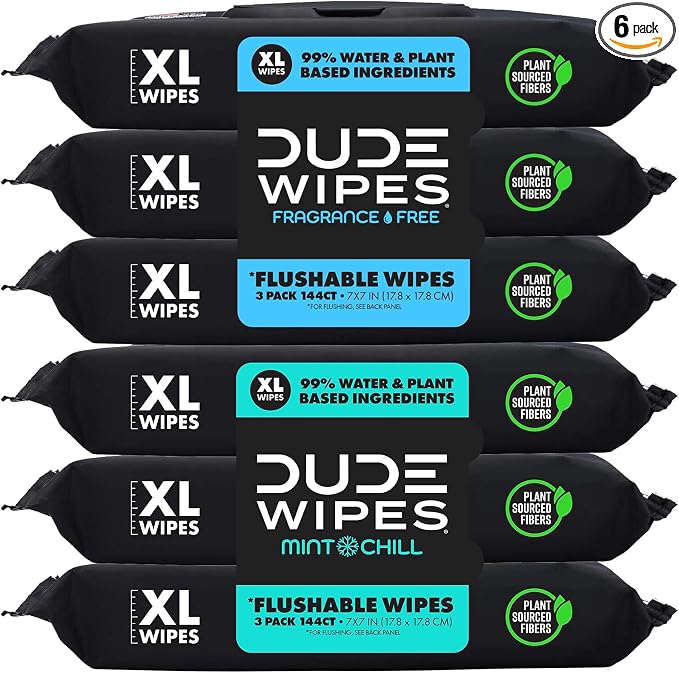 DUDE Wipes - Flushable Wipes for Adults - 6 Pack, 288 Count - Mint Chill Scent Included - Extra-Large - Vitamin-E & Aloe - Septic and Sewer Safe