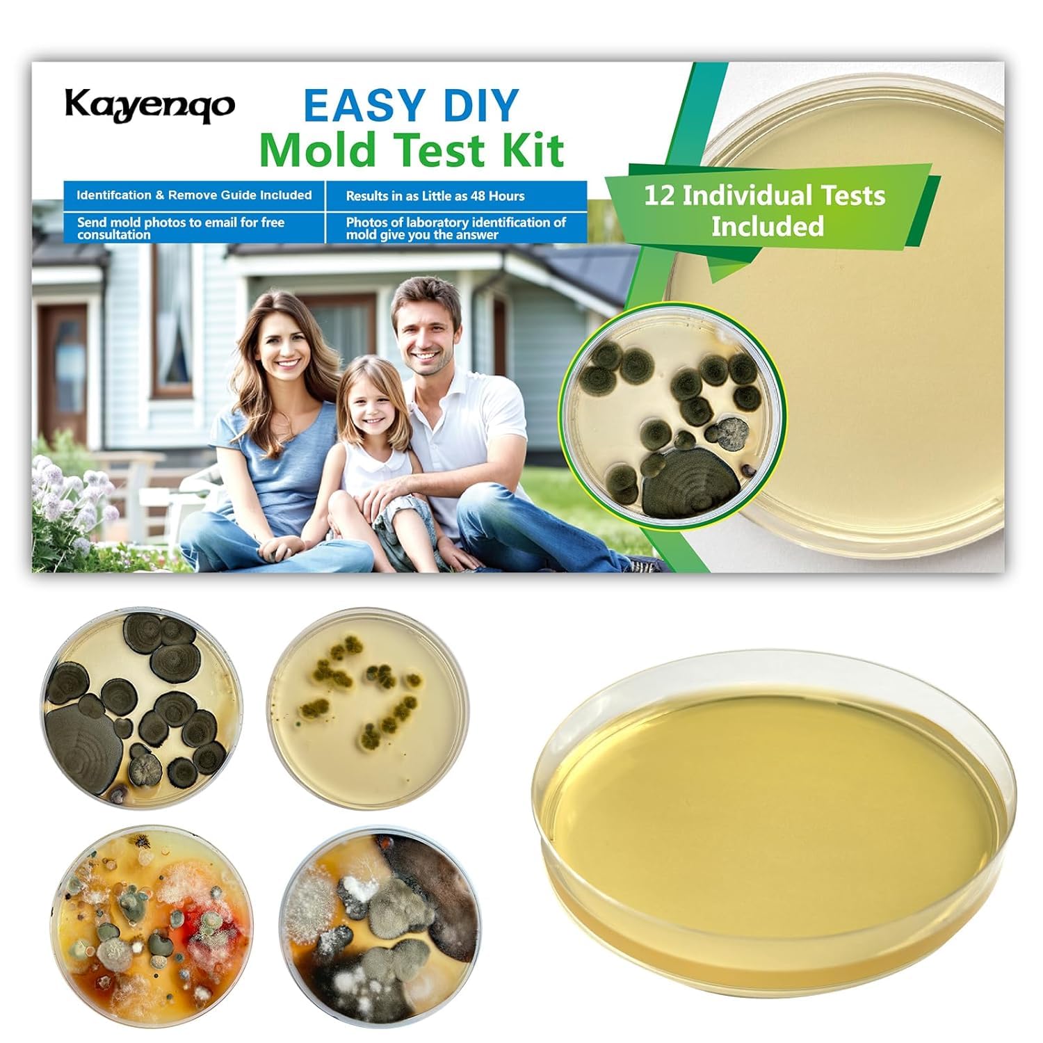 Home Mold Test Kit Detection 12 Tests
