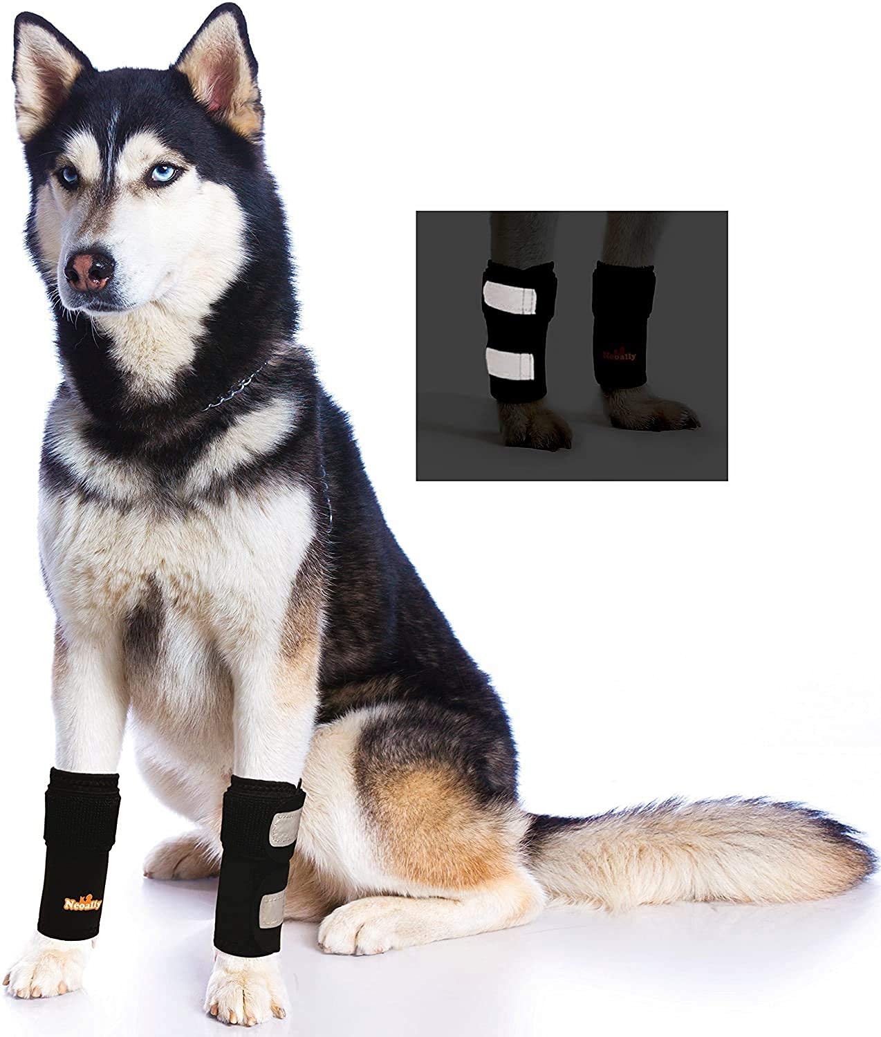 NeoAlly Front Leg Dog Braces Reflective Pair SM