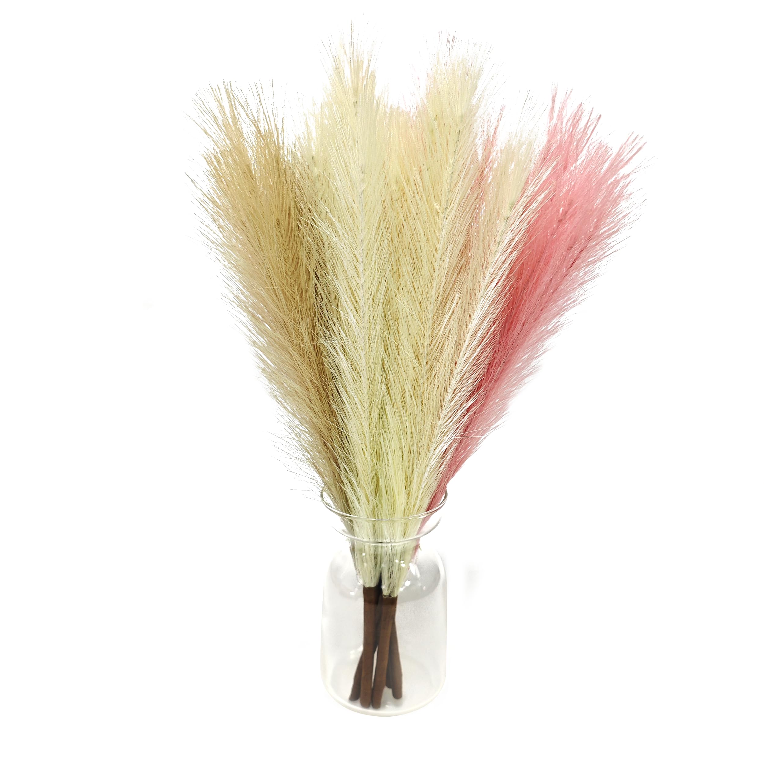 Small Pampas Grass Dried Flowers Green Blue Gray