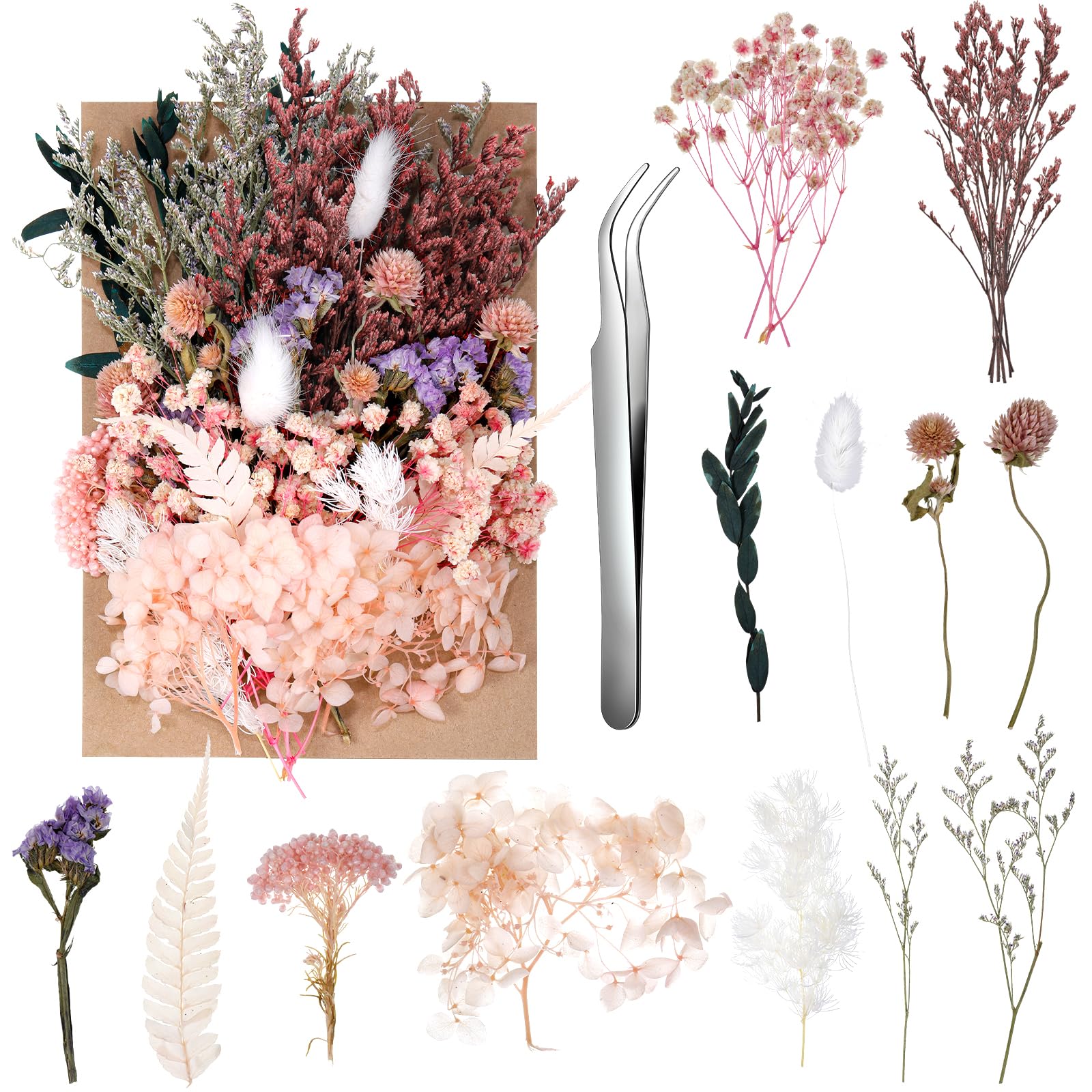 Natural Mixed Real Dried Flowers Crafts White