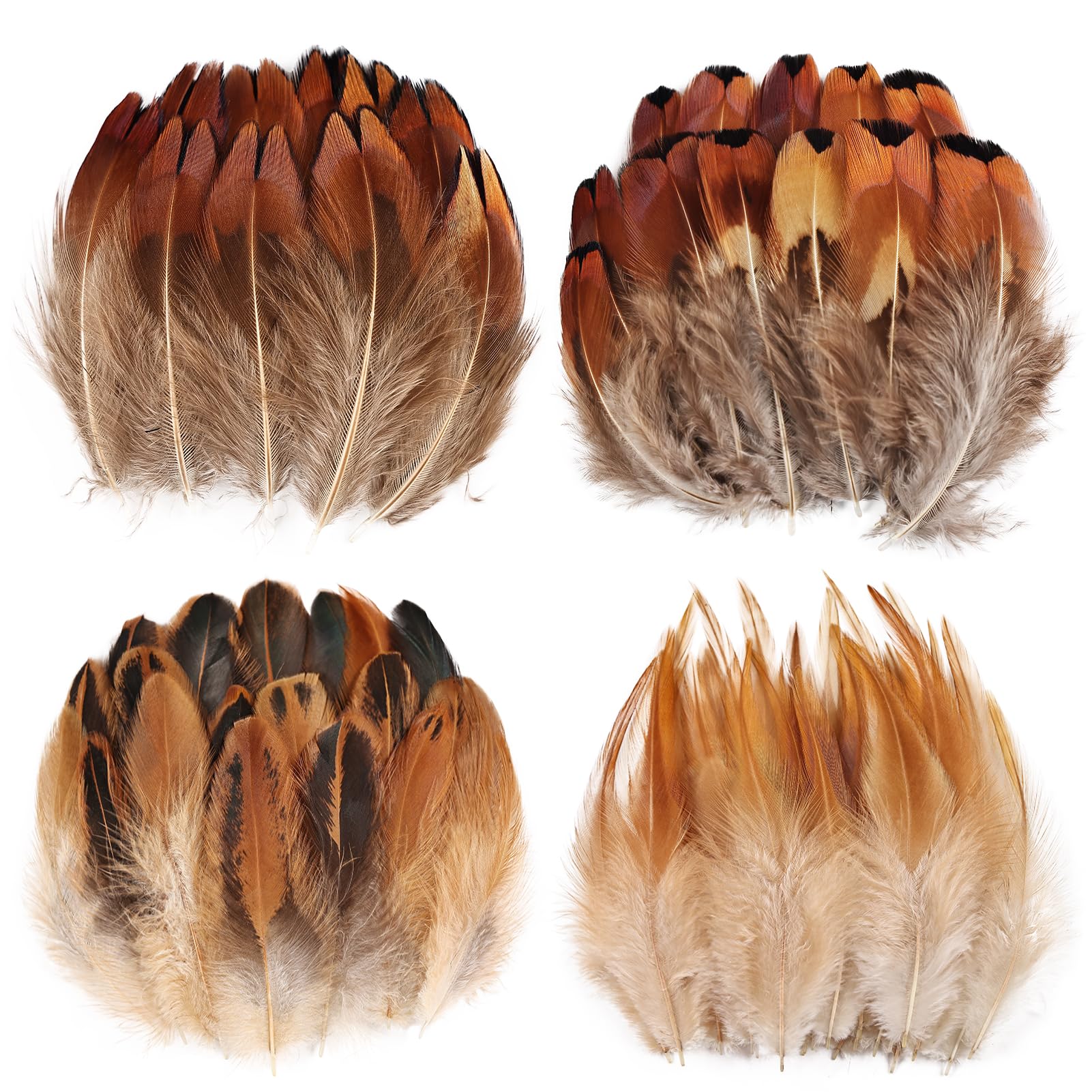 120-Pc Natural Feathers Assortment for Crafts