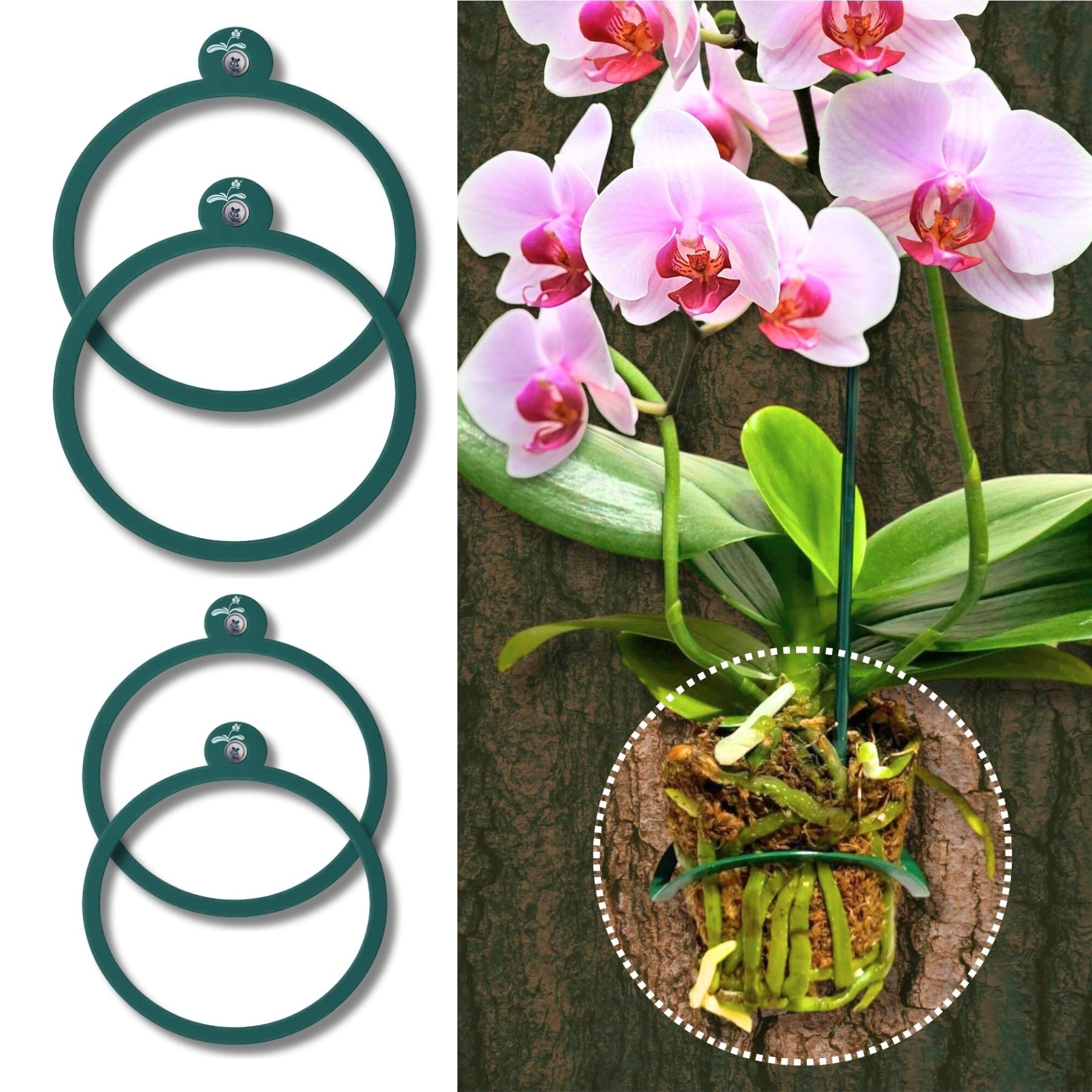Orchidhug Orchid Tree Hanger Rings Green 4-Pack