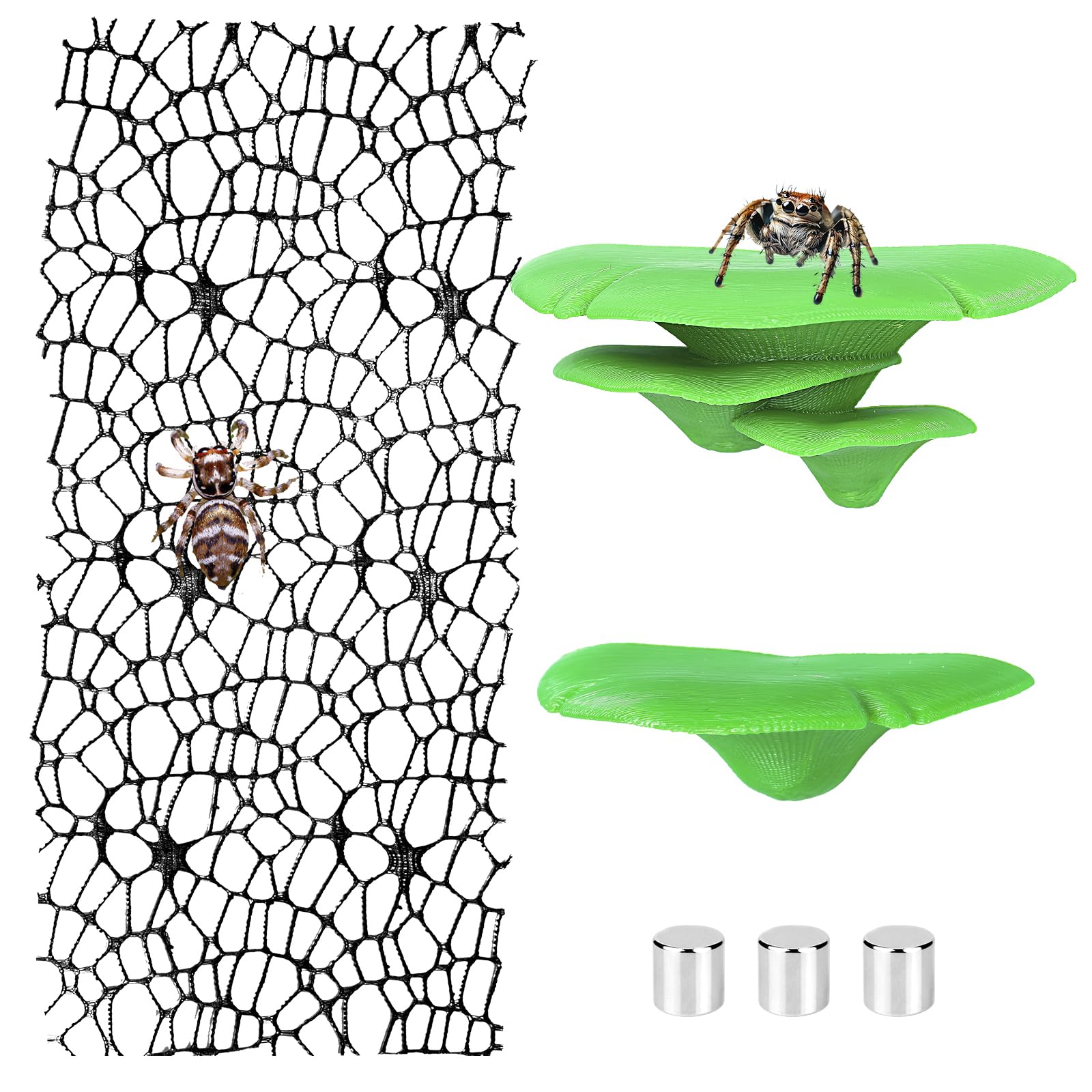 Cynailli Jumping Spider Mushroom Ledges Web Magnets Green